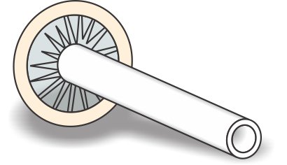 Male External Catheter Uro-Con® Non-Adhesive Latex Large - BeHope