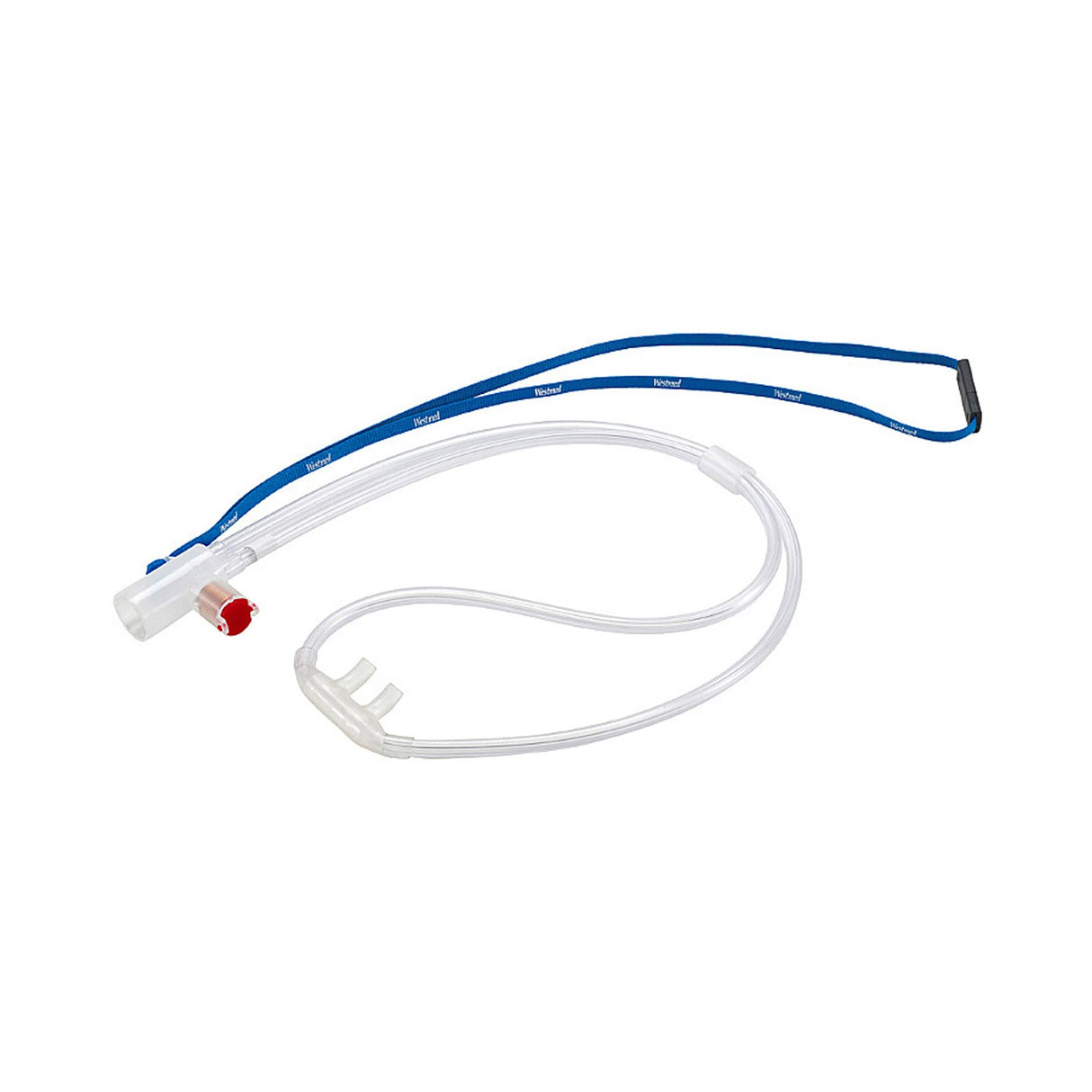 Nasal Cannula Comfort Soft Plus® Adult Curved Prongs Without Tubing - BeHope