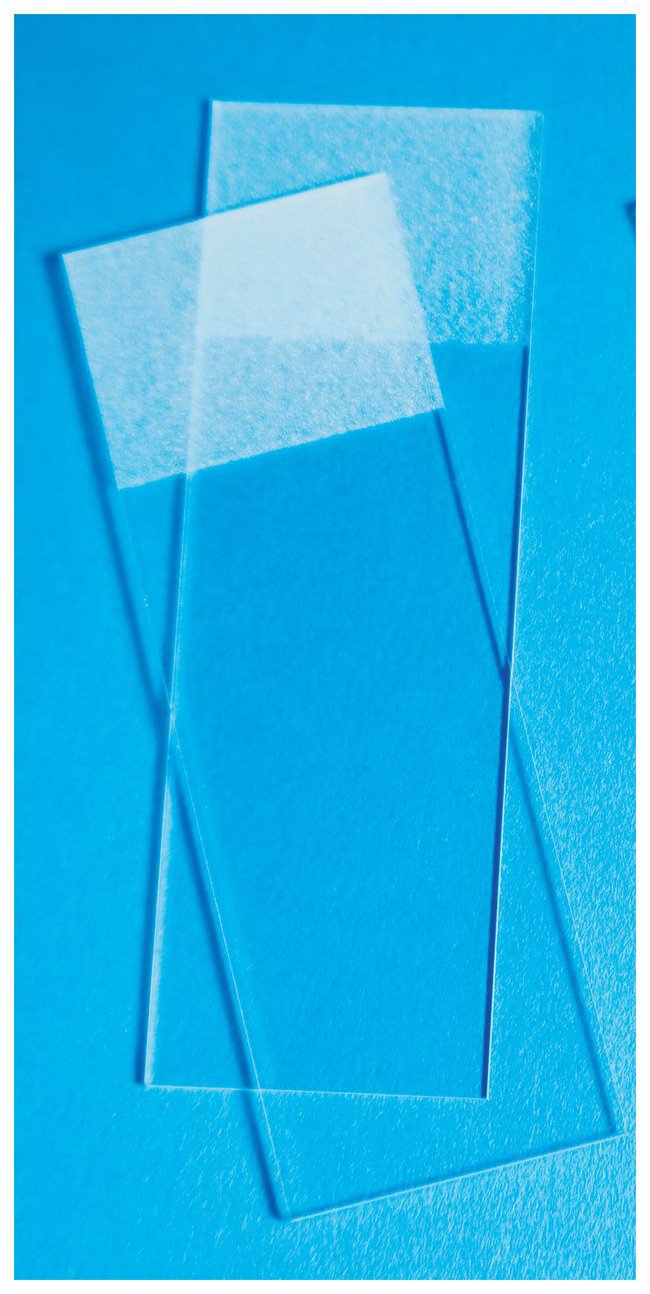 Charged Microscope Slide Fisherbrand™ Superfrost® Plus for Optimal Sample Adhesion - BeHope