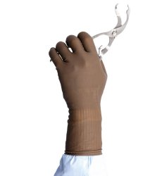 Surgical Glove Protexis™ PI Orthopaedic Size 8 Sterile Polyisoprene Standard Cuff Length Smooth Brown Not Chemo Approved - BeHope