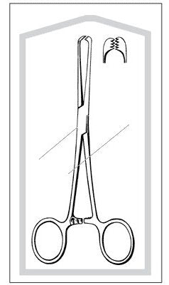 Tissue Forceps Econo Sterile™ Allis 7-1/4 Inch Length Floor / Office Grade Pakistani Stainless Steel Sterile Locking Finger Ring Handle Straight 6 X 7 Teeth - BeHope