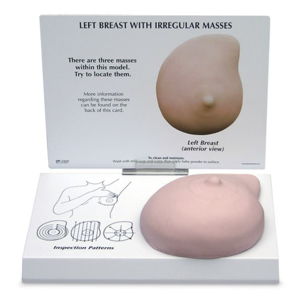 Breast Model Galloway Plastics Female Full-Size Left Breast 2-1/4 lbs. - BeHope
