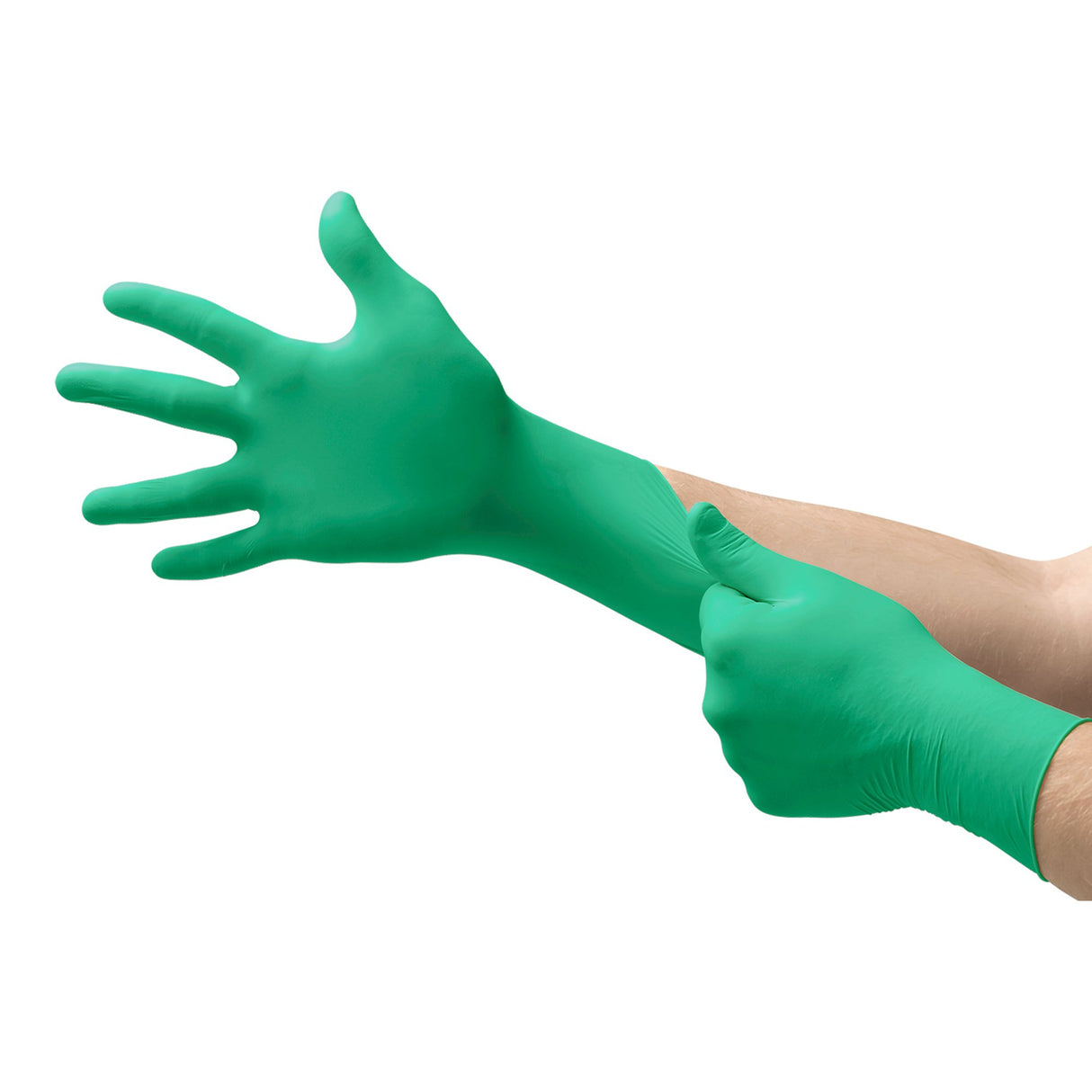 Exam Glove Neogard® Small NonSterile Polychloroprene Standard Cuff Length Textured Fingertips Green Not Rated - BeHope