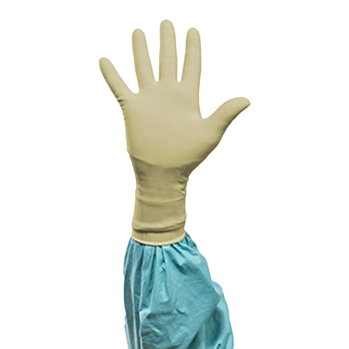 Surgical Glove Biogel® PI Size 6 Sterile Polyisoprene Standard Cuff Length Micro-Textured Ivory Chemo Tested - BeHope