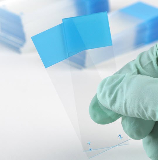 Charged Microscope Slide Diamond® White Glass 25 X 75 X 1 mm Blue Frosted End - BeHope