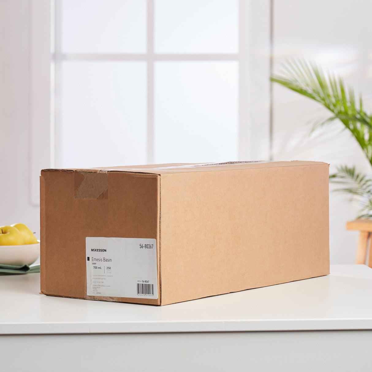 Emesis Basin McKesson Graphite 20 oz. Plastic Single Patient Use - BeHope