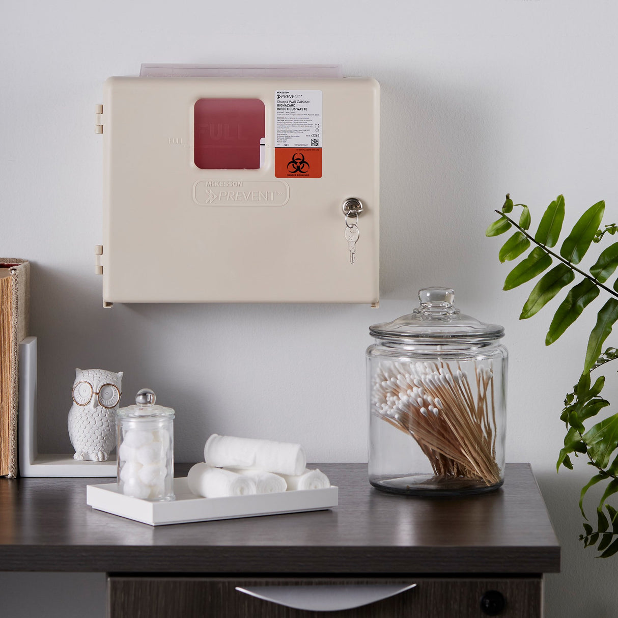 Sharps Container Cabinet / Wall Enclosure McKesson Prevent® High Impact Polystyrene Wall Mount Locking - BeHope