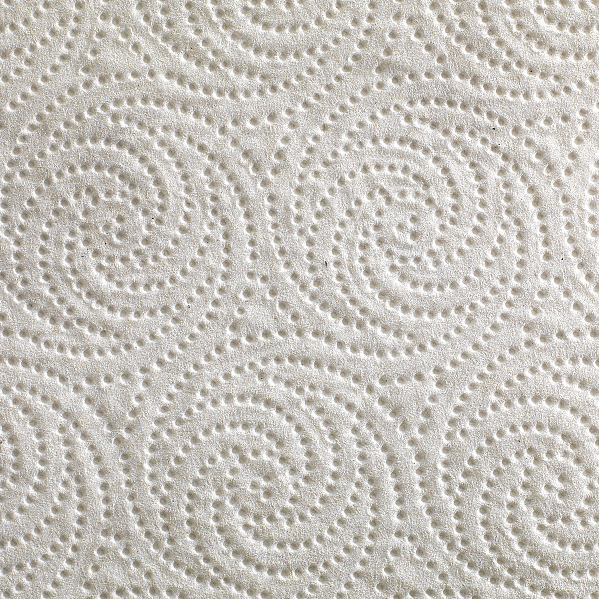 Kitchen Paper Towel Pacific Blue Select™ Perforated Roll 8-4/5 X 11 Inch - BeHope