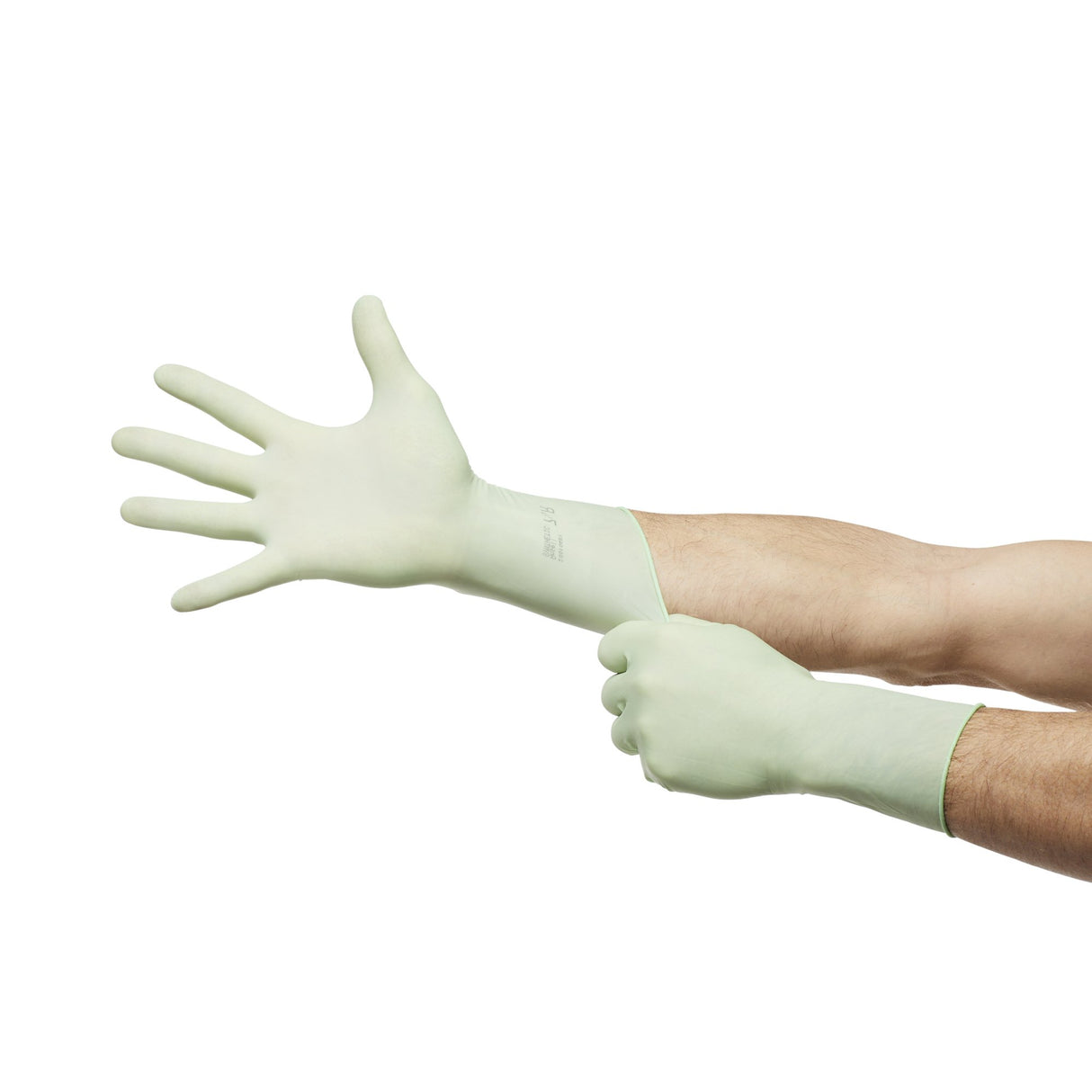 Surgical Glove McKesson Perry® Performance Plus Size 8 Sterile Polyisoprene Standard Cuff Length Smooth Green Chemo Tested - BeHope