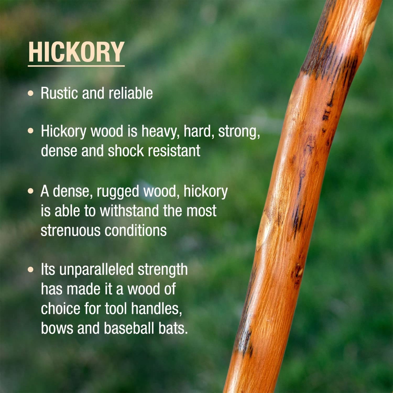Walking Stick Brazos™ Wood 55 Inch Height Safari - BeHope