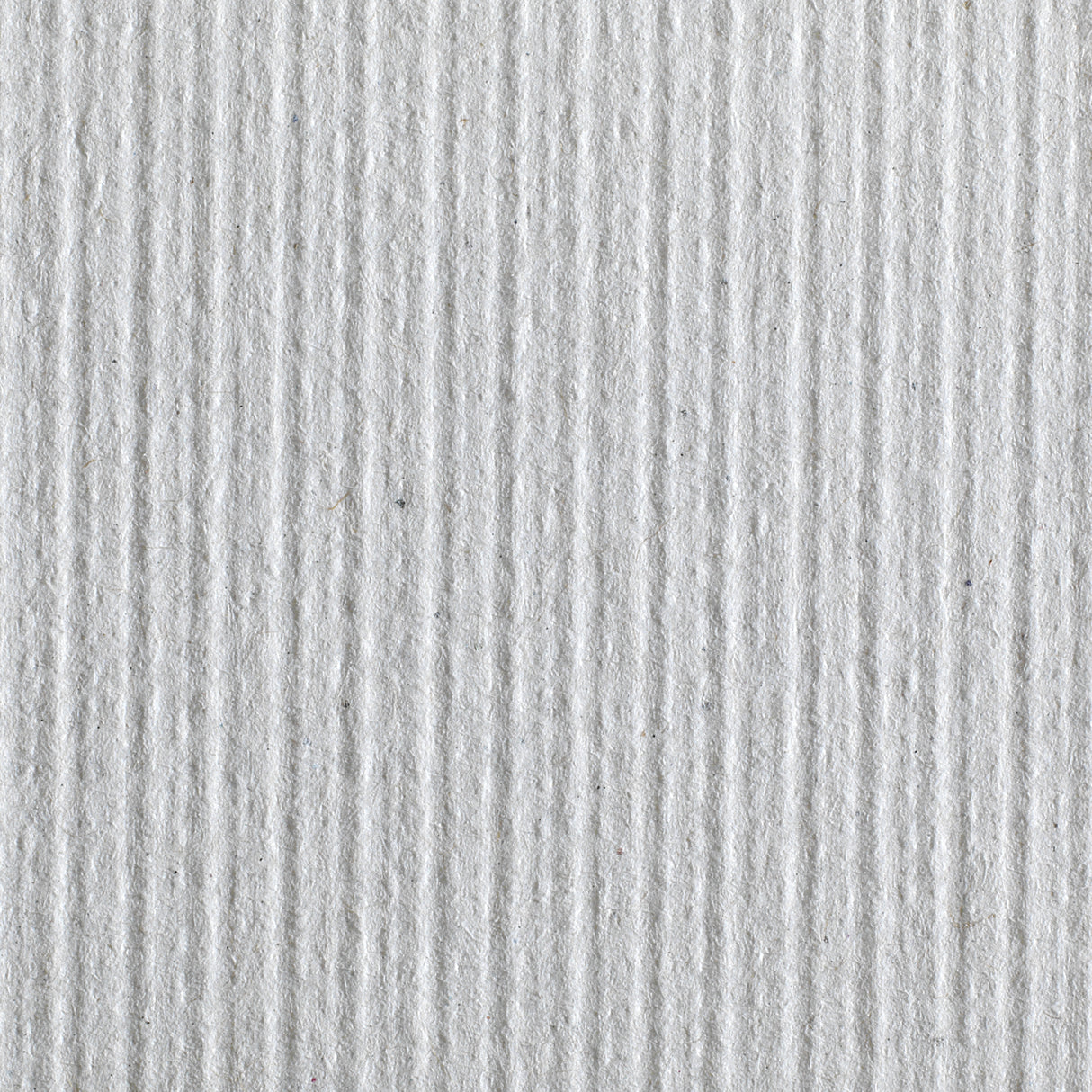 Pacific Blue Basic All Purpose Recycled Hardwound Paper Towel - BeHope