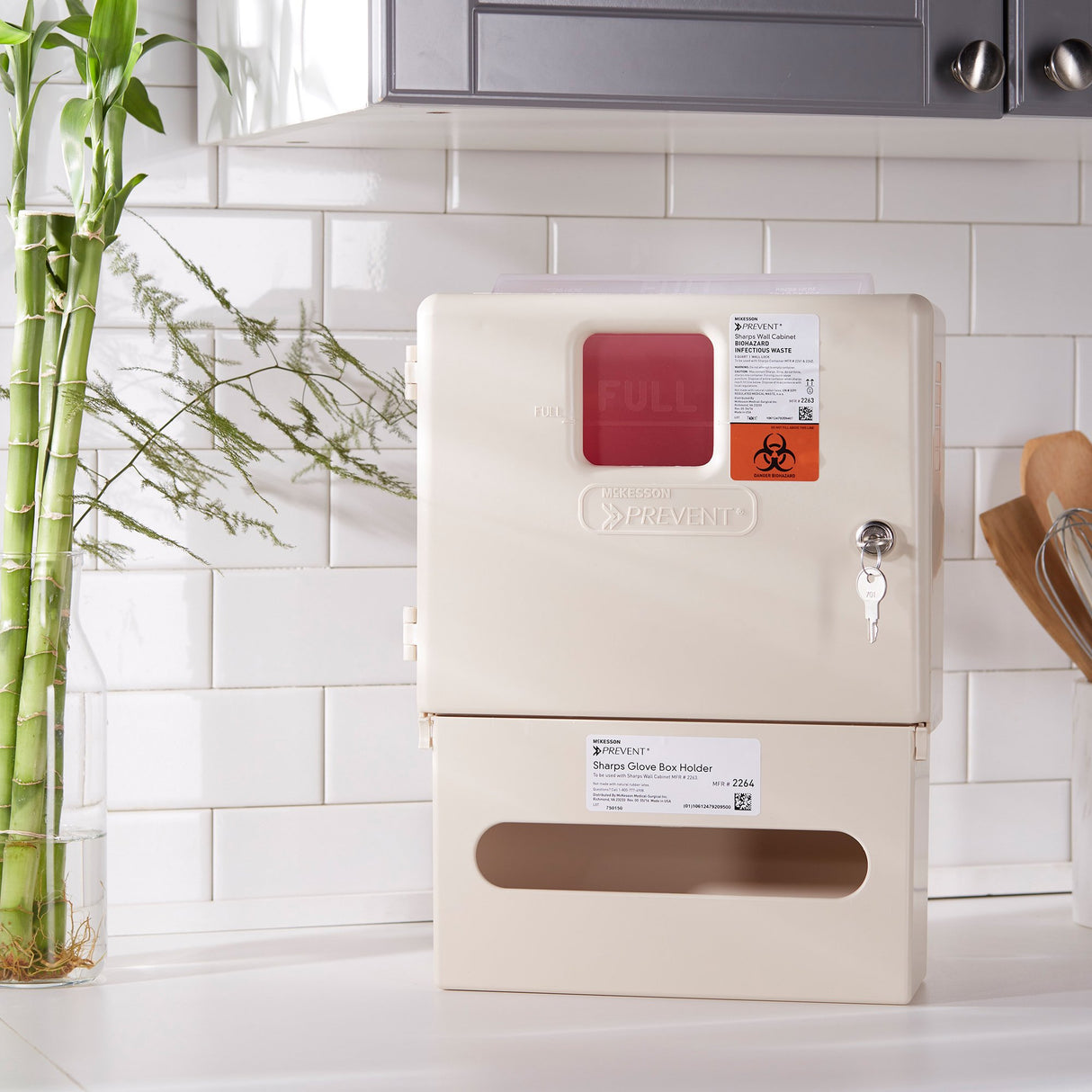 Sharps Container Cabinet / Wall Enclosure with Glove Box McKesson Prevent® Polypropylene Wall Mount Locking - BeHope