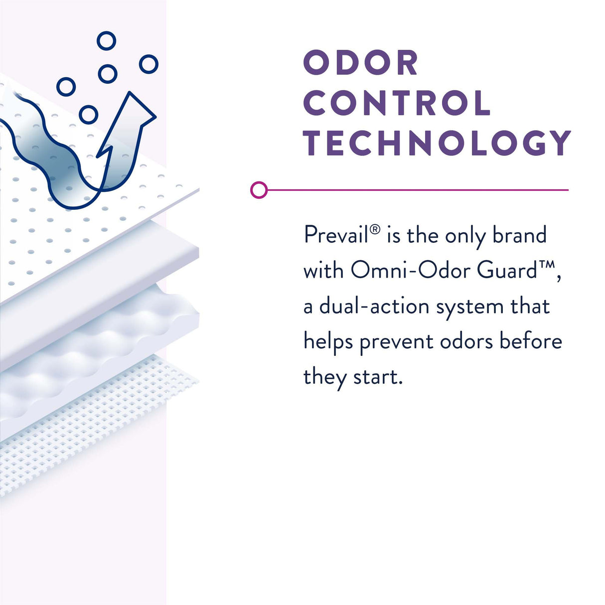 Female Adult Absorbent Underwear Prevail® Per-Fit® Pull On with Tear Away Seams Large Disposable Moderate Absorbency - BeHope