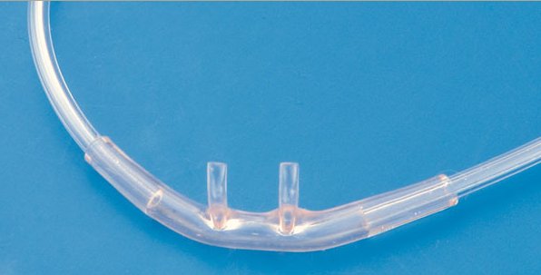 Nasal Cannula AirLife® Neonatal Curved Prongs 7 Foot Tubing - BeHope
