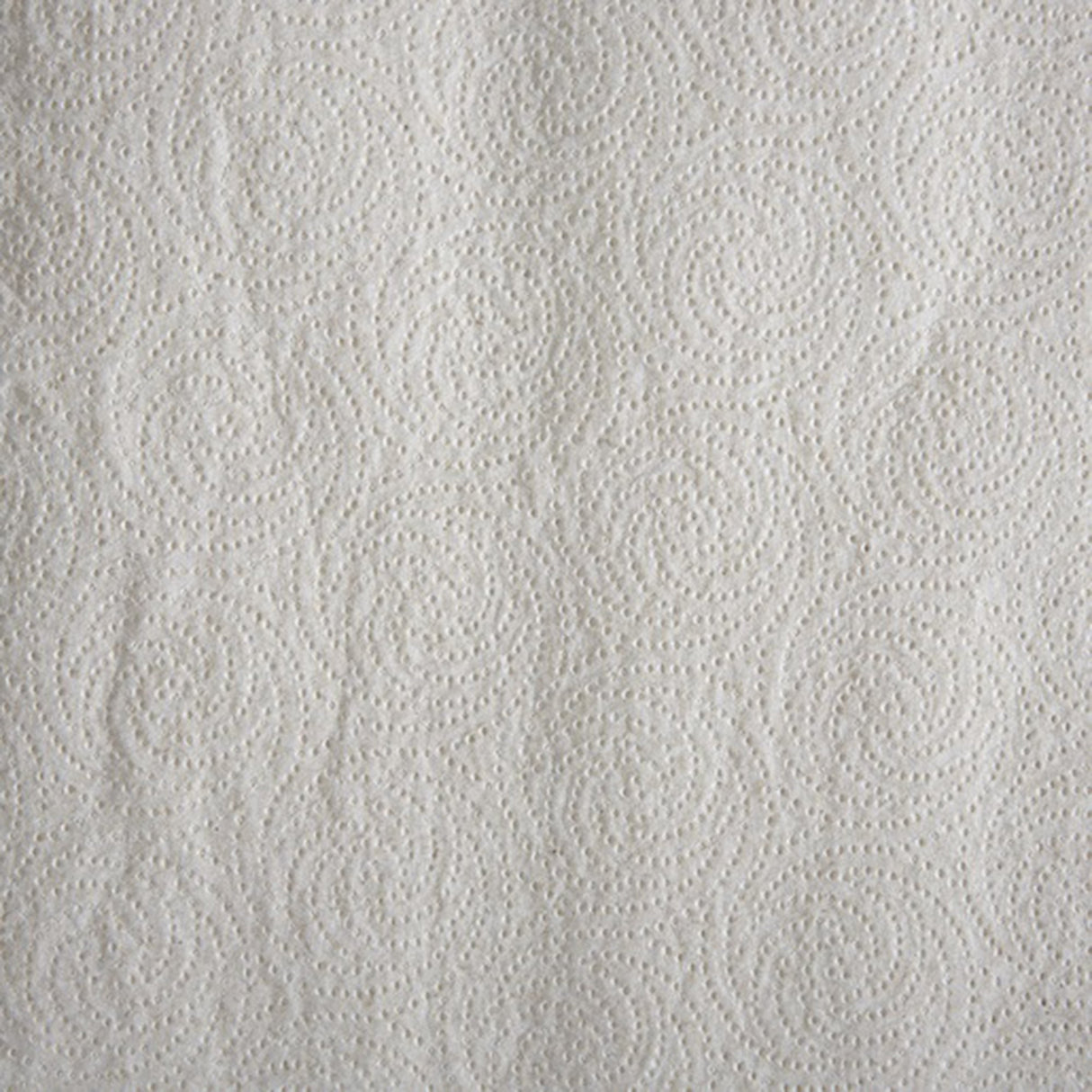 Kitchen Paper Towel Pacific Blue Basic™ Perforated Roll 8-4/5 X 11 Inch - BeHope