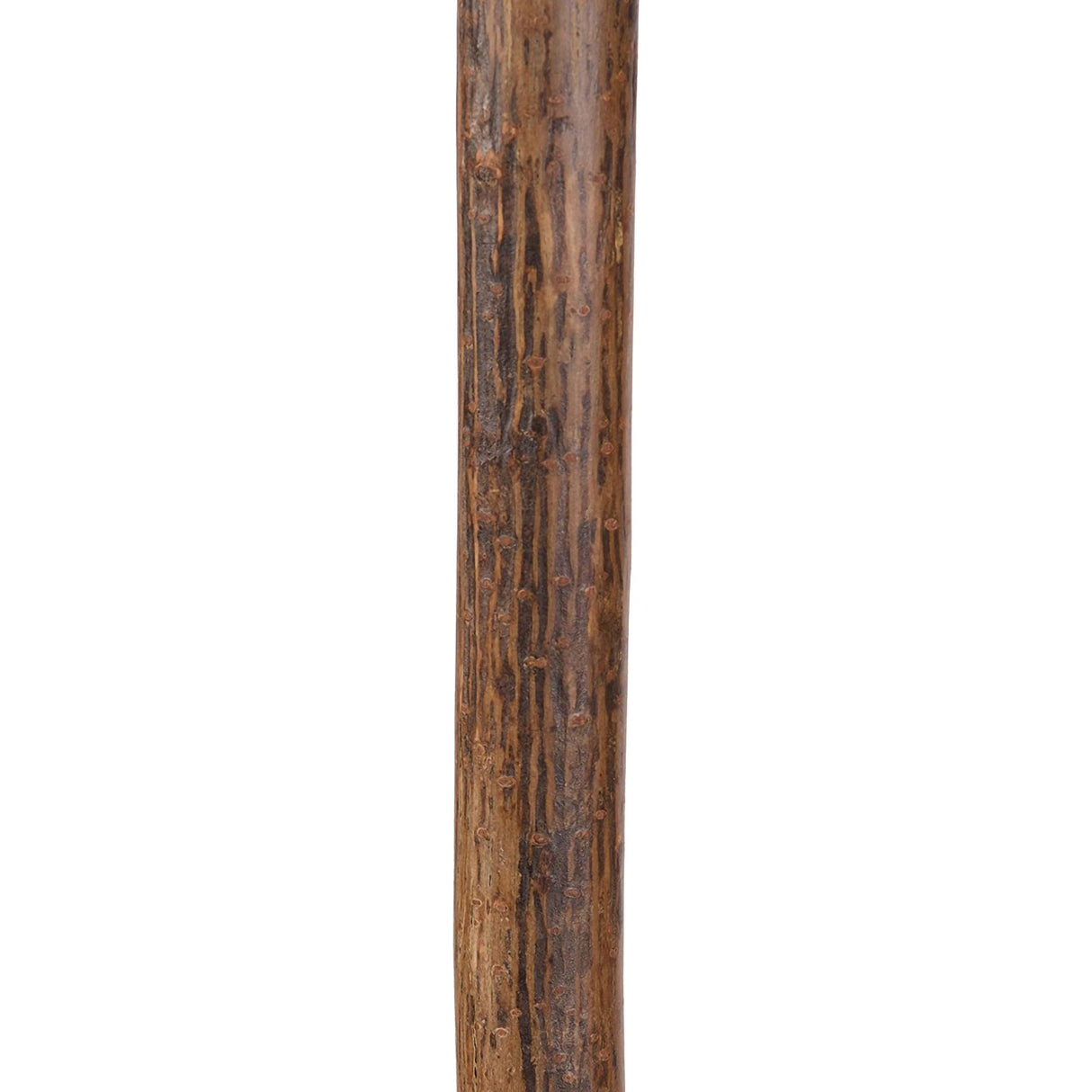 Walking Stick Brazos™ Root Wood 40 Inch Height Natural Hardwood - BeHope