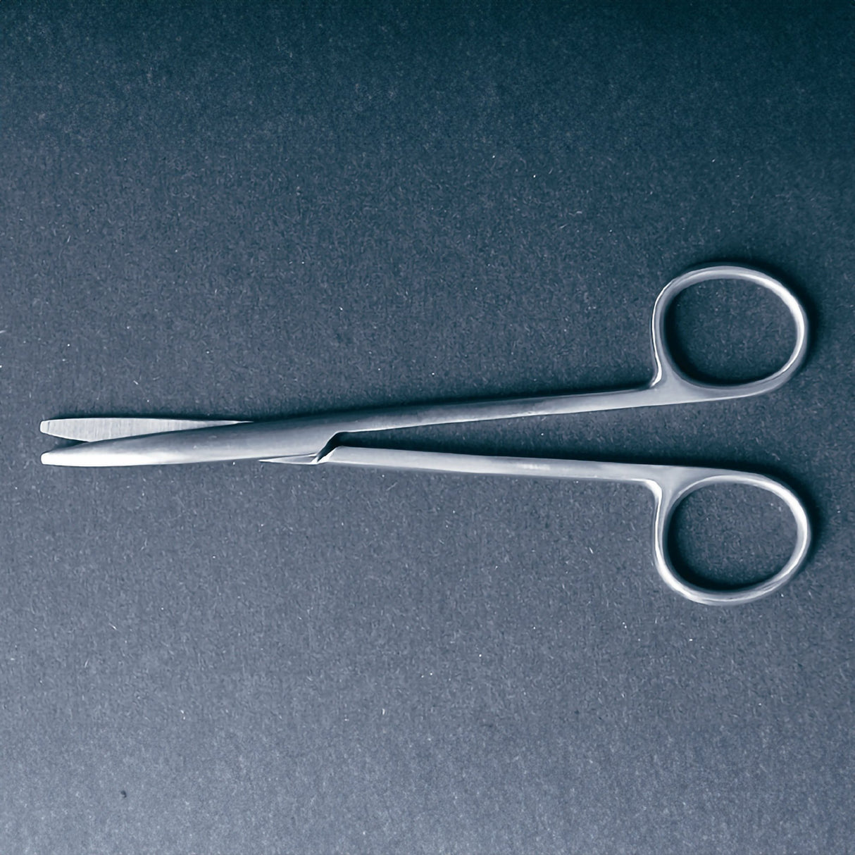 Dissecting Scissors McKesson Argent™ Metzenbaum 5-1/2 Inch Length Surgical Grade Stainless Steel NonSterile Finger Ring Handle Straight Blunt Tip / Blunt Tip - BeHope