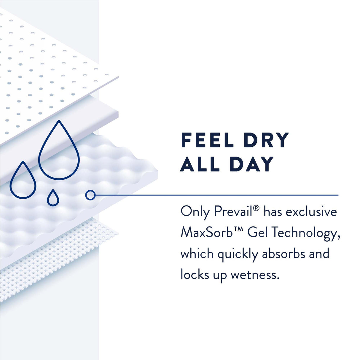 Incontinence Liner Prevail® Daily Pant Liners 12-1/2 Inch Length Moderate Absorbency Polymer Core Small - BeHope