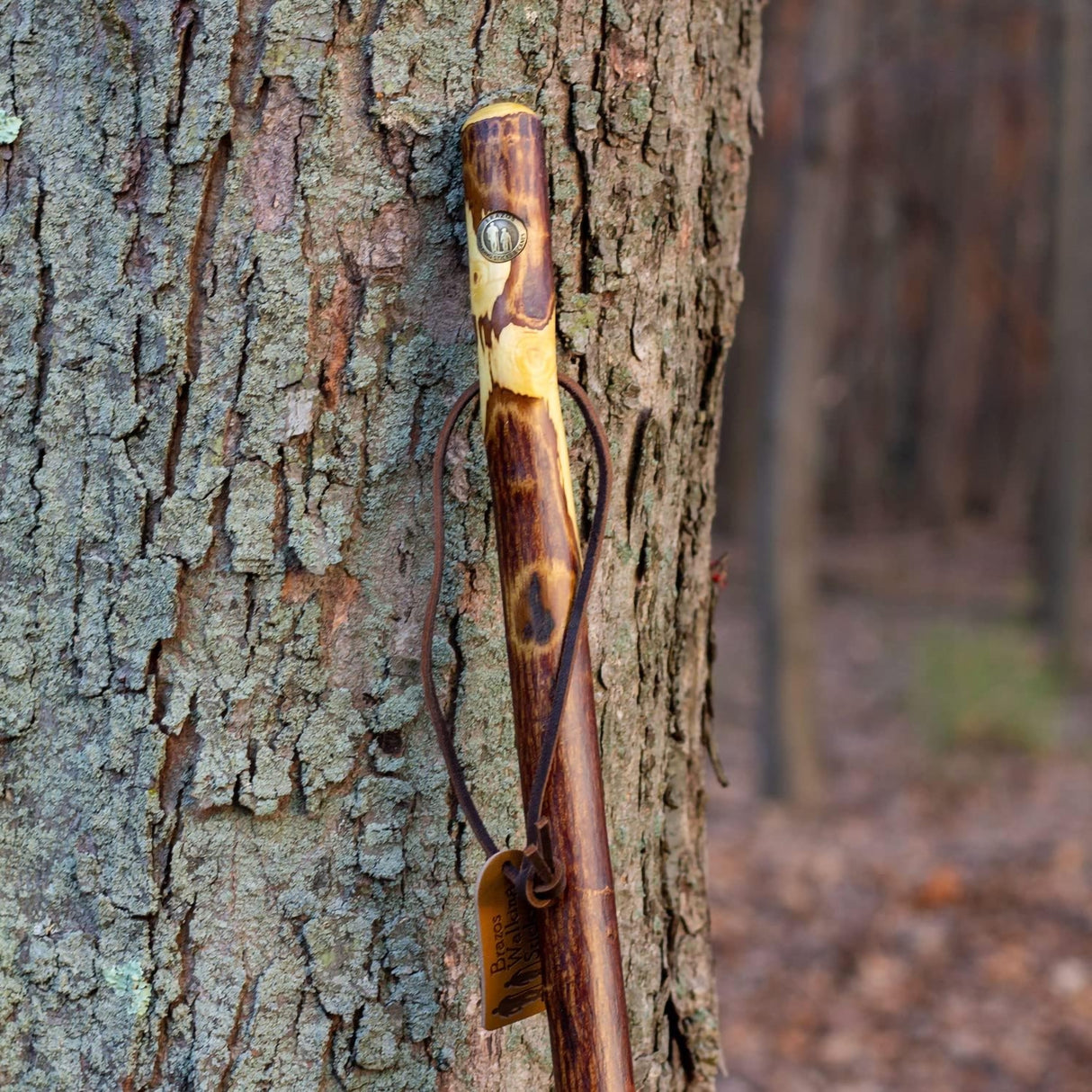Walking Stick Brazos™ Free Form Wood 48 Inch Height Hawthorn - BeHope