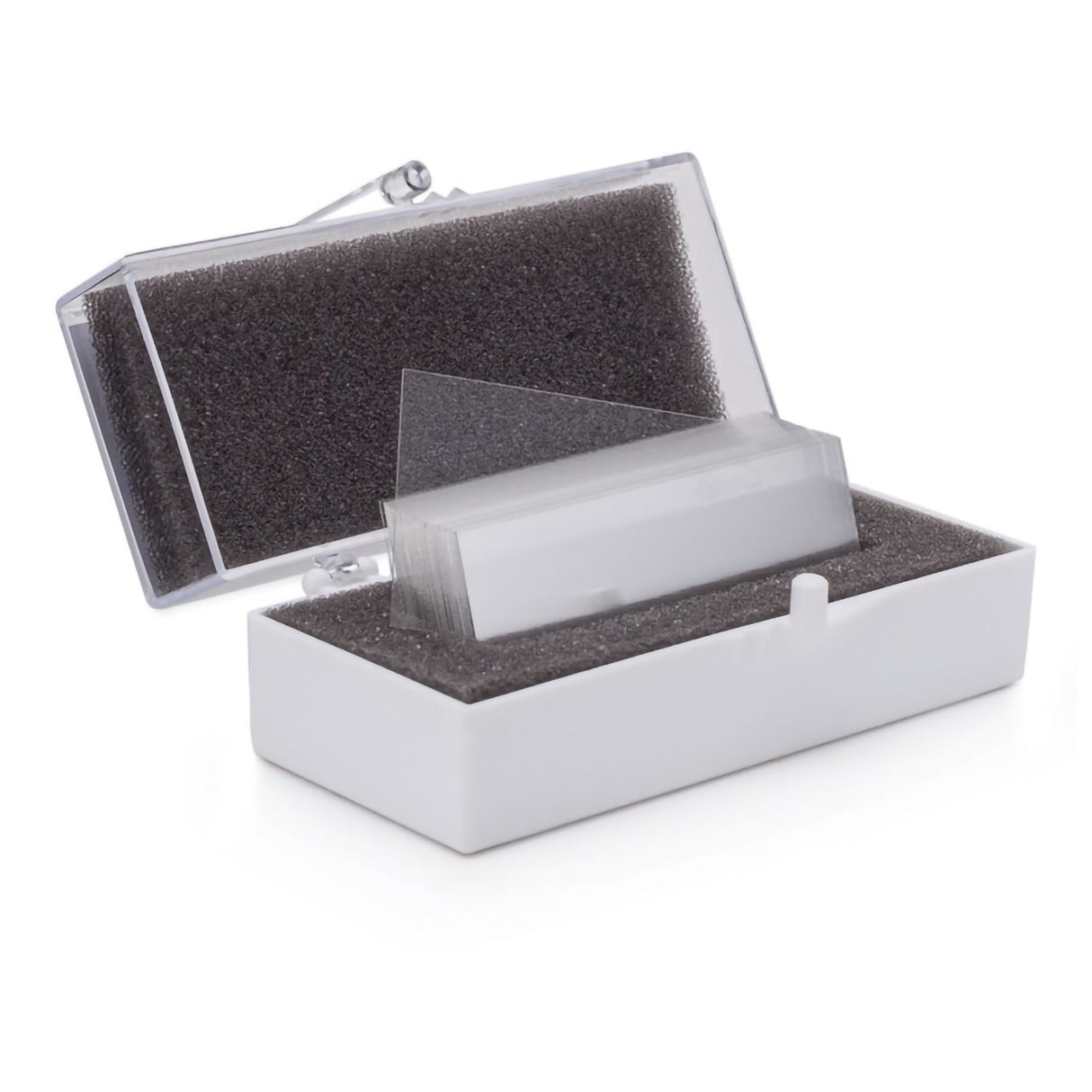 Cover Glass Rectangle No. 1 Thickness 24 X 50 mm - BeHope