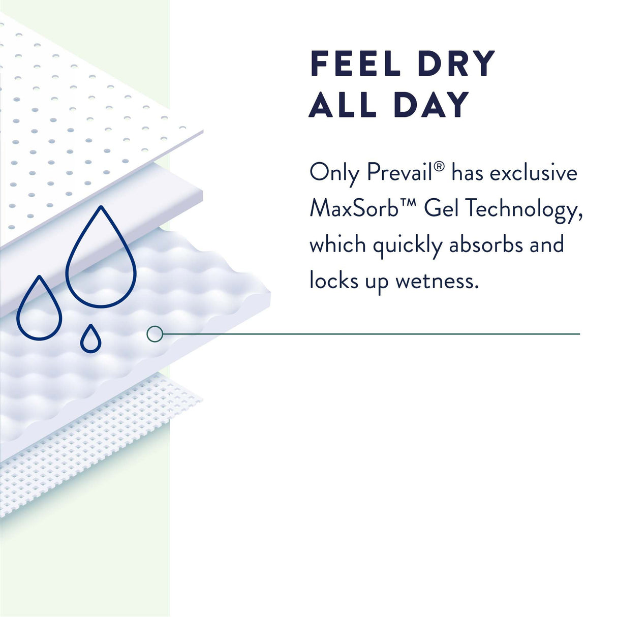 Unisex Adult Incontinence Brief Prevail® Daily Small Disposable Heavy Absorbency - BeHope