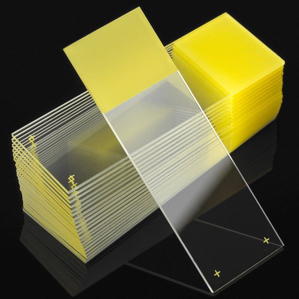 Charged Microscope Slide Diamond® White Glass 25 X 75 X 1 mm Yellow Frosted End - BeHope