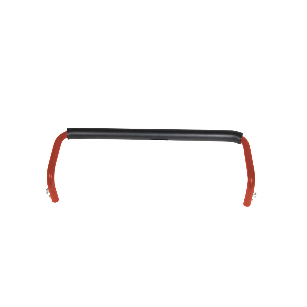 Backrest for Rollators created -BeHope