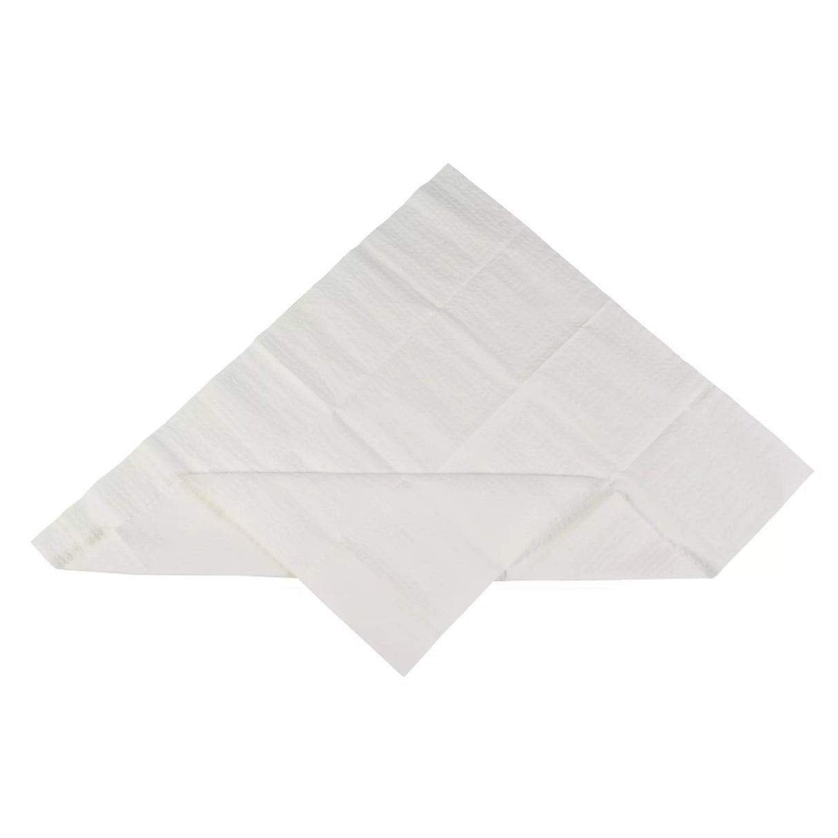 Sterilization Tray Liner 19-1/2 X 23 Inch, Absorbent - BeHope