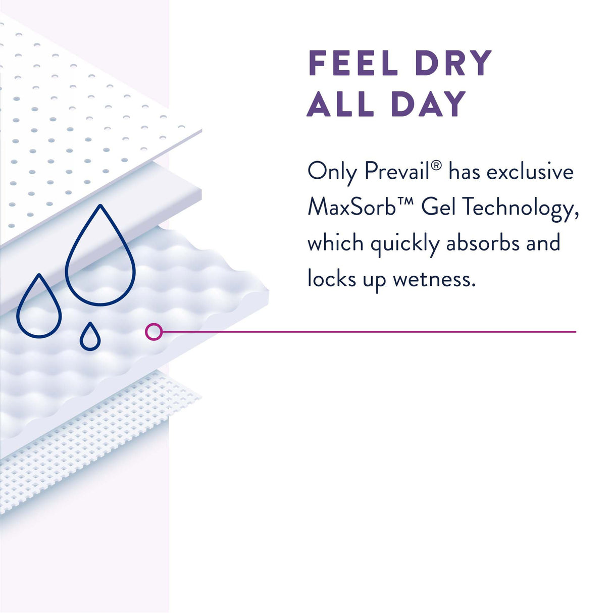 Female Adult Absorbent Underwear Prevail® Per-Fit® Pull On with Tear Away Seams Large Disposable Moderate Absorbency - BeHope