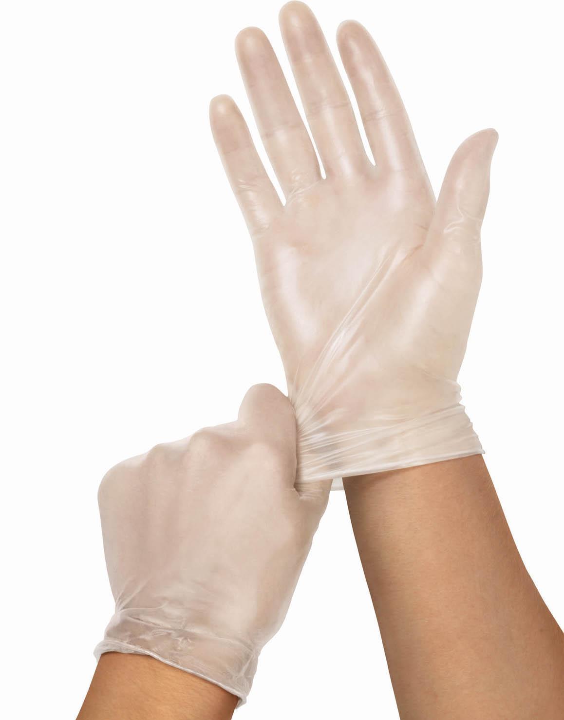 Basic Medical Powder-Free Clear Vinyl Exam Gloves