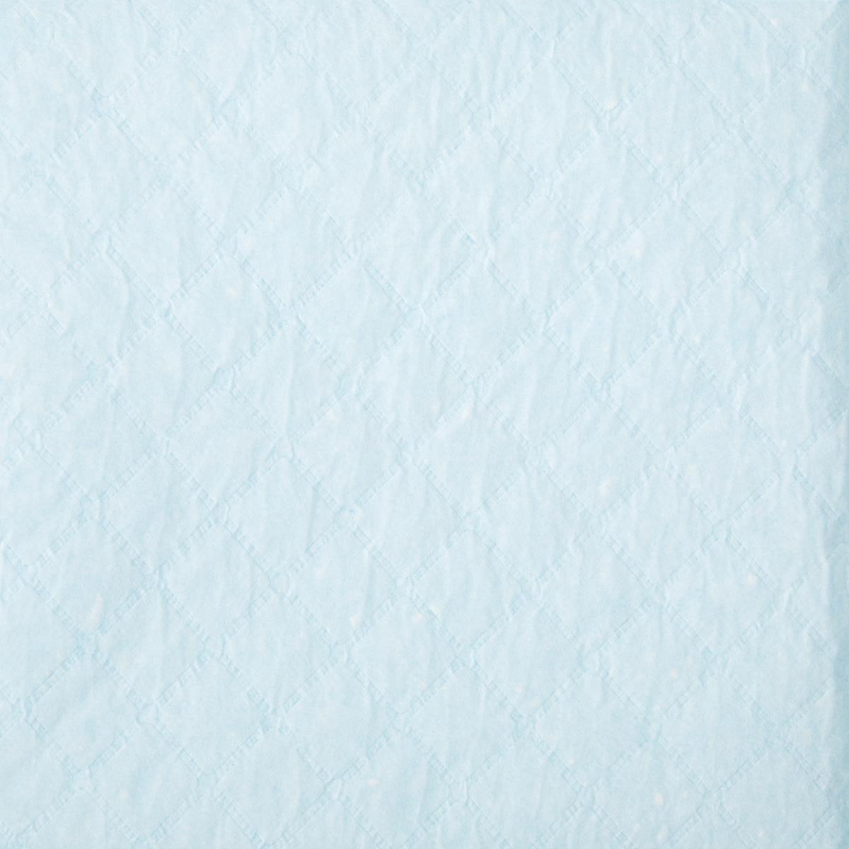 Protection Plus Disposable Underpads