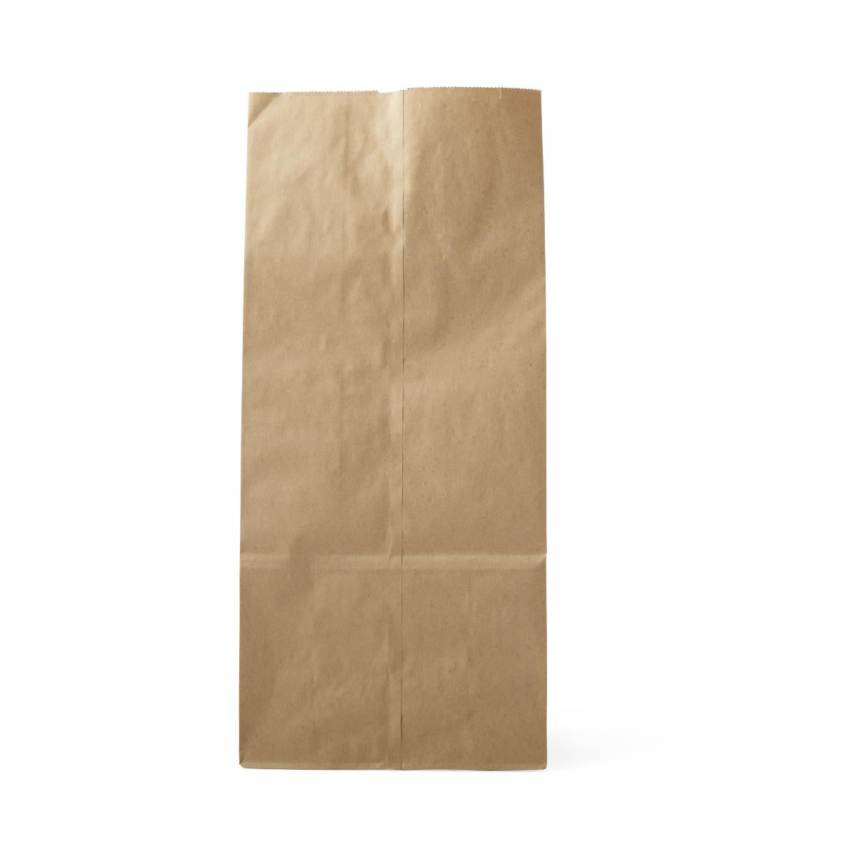 Medline Brown Paper Bags