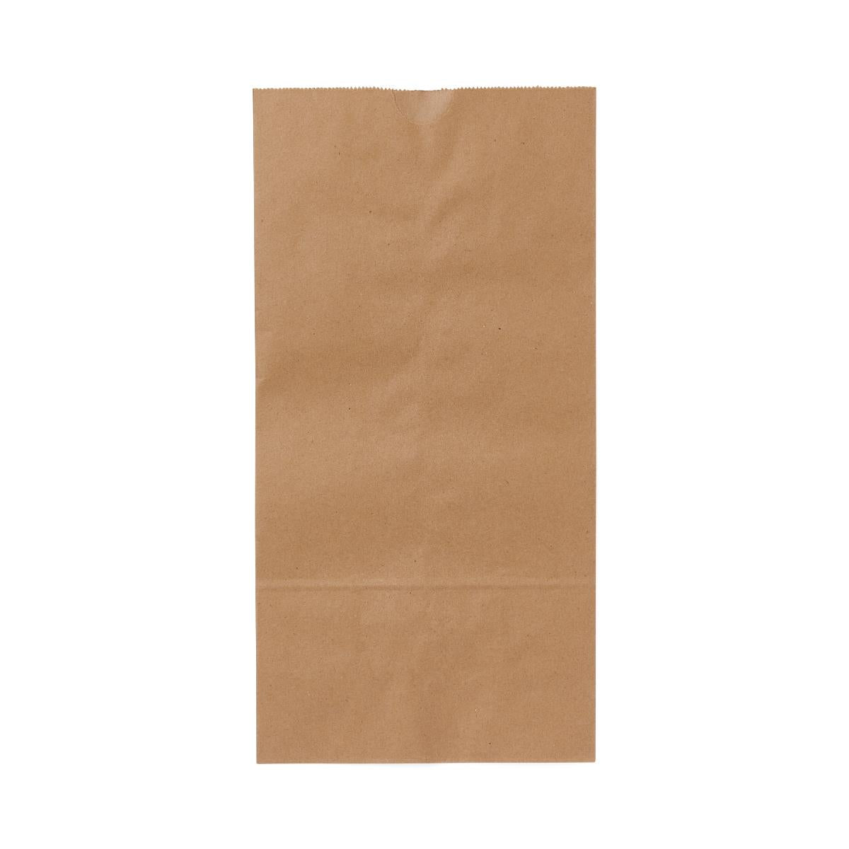 Medline Brown Paper Bags
