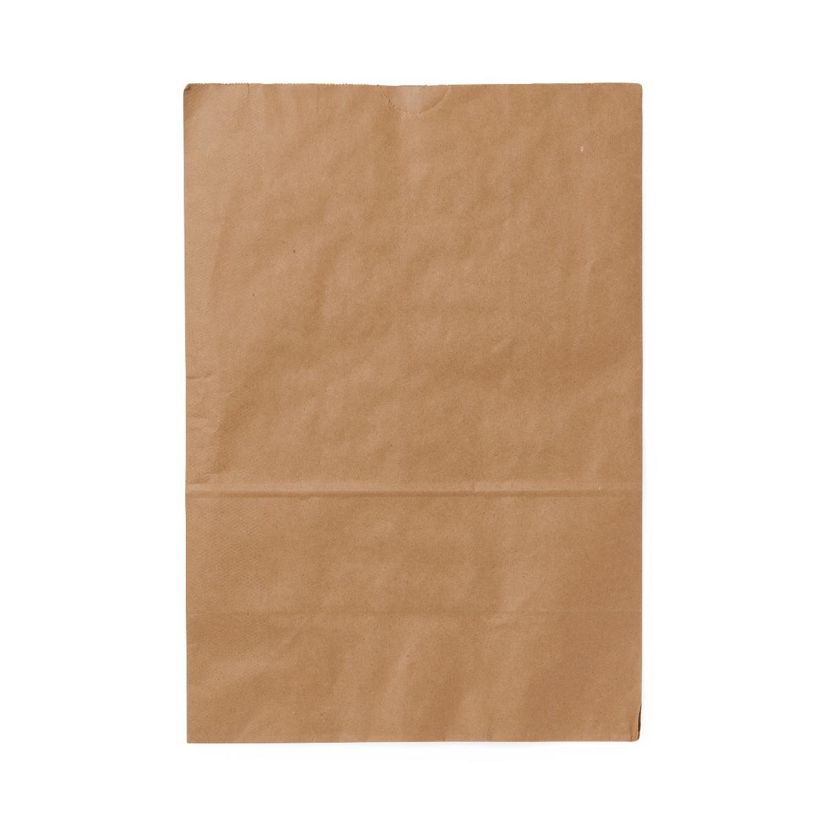 Medline Brown Paper Bags