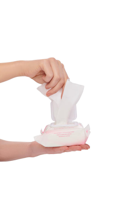 Simply Soft Premium Skin Cleansing and Makeup Remover Wipes - BeHope