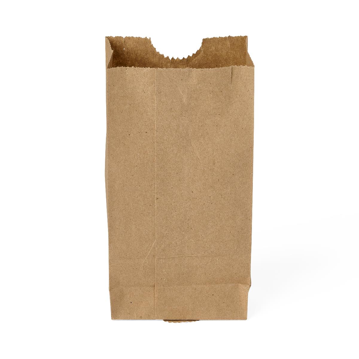 Medline Brown Paper Bags
