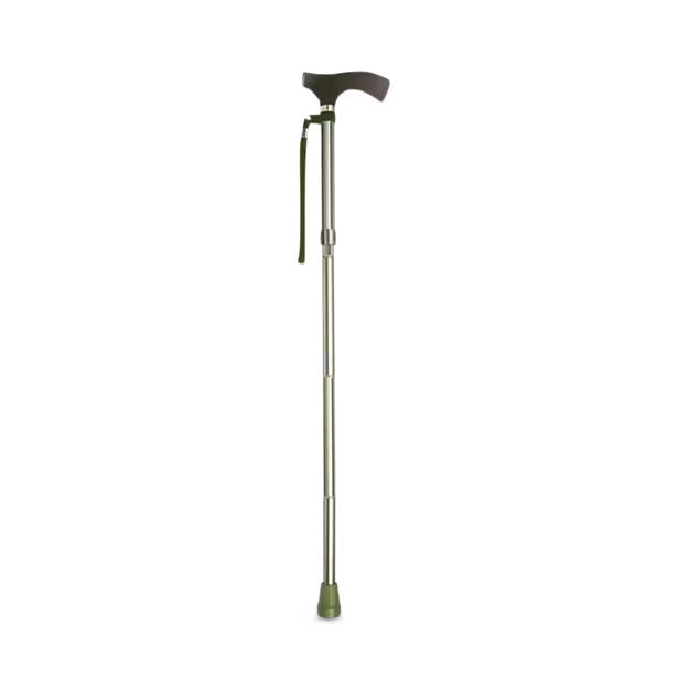 Switch Sticks Walking Canes