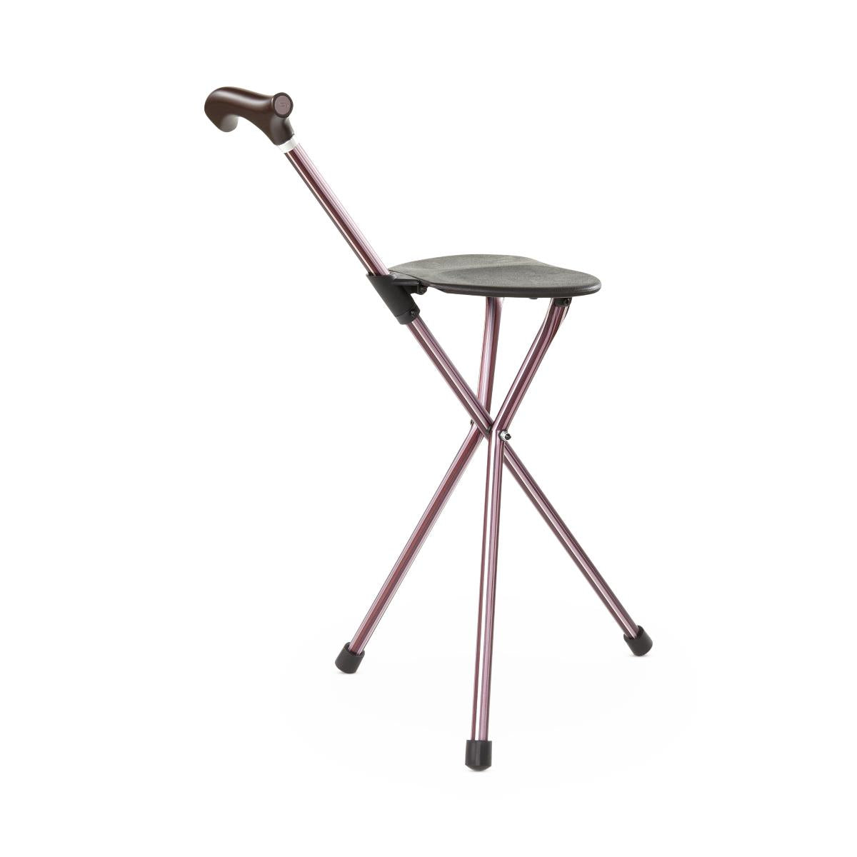 Switch Sticks Walking Canes