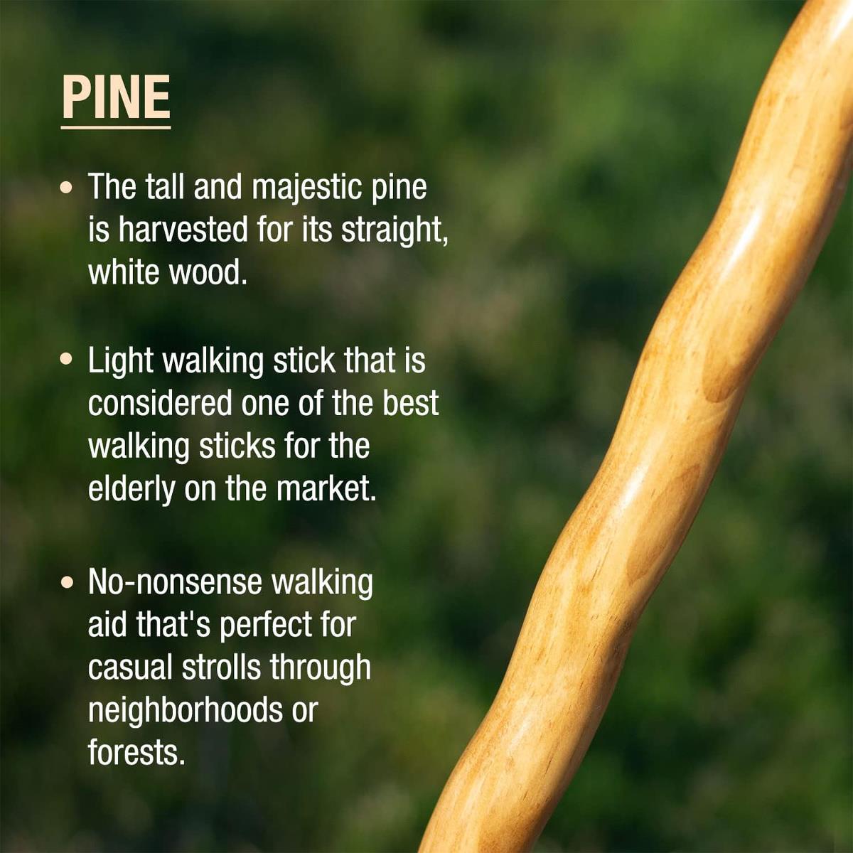 Brazos Twisted Trail Blazer Walking Stick