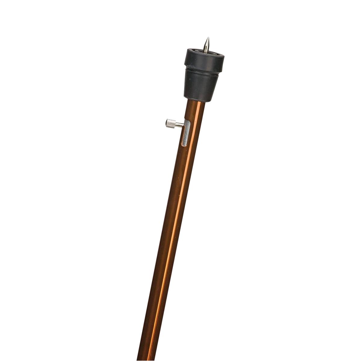 Dmi Retractable Ice Tip Canes - BeHope