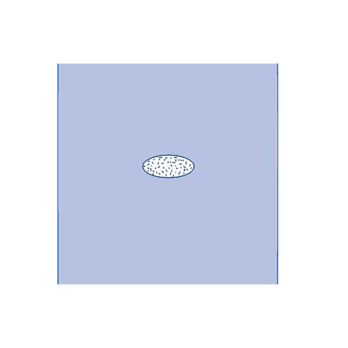 Adherent Window Drape - BeHope