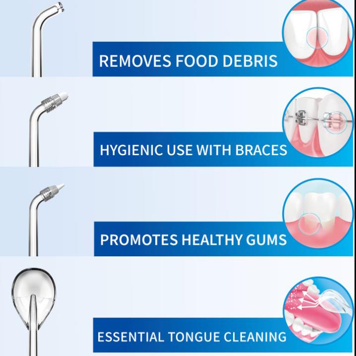 Cordless Water Flosser and Components