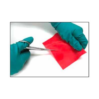 Healthmark Scissor Test - BeHope