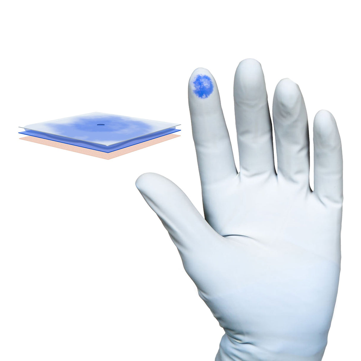 Surgical Underglove Biogel® PI Indicator® Underglove Size 8.5 Sterile Polyisoprene Standard Cuff Length Smooth Blue Chemo Tested - BeHope