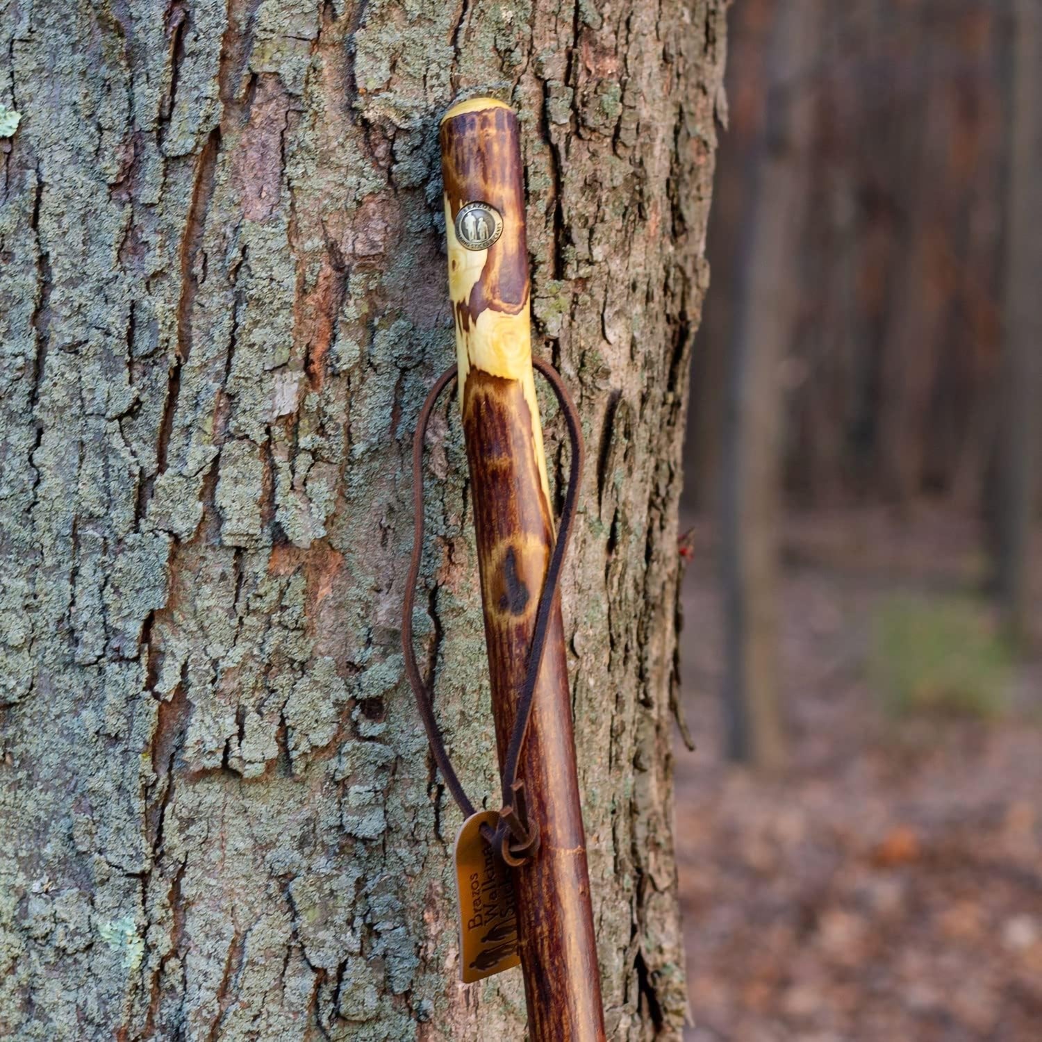 Walking Stick Brazos™ Free Form Wood 55 Inch Height Hawthorn - BeHope