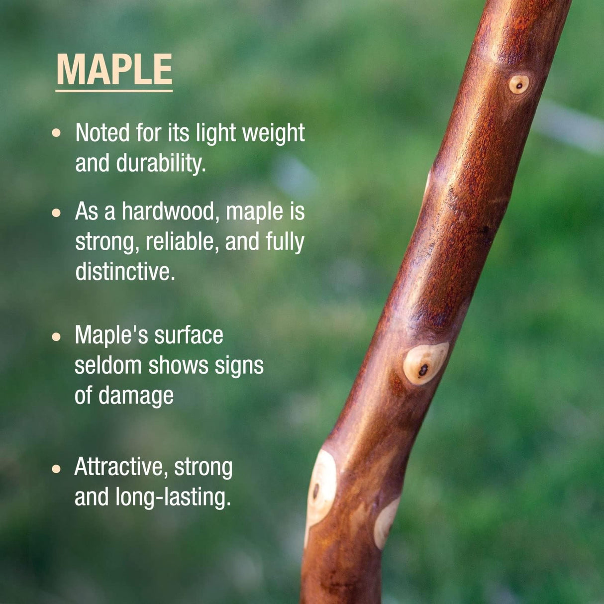 Walking Stick Brazos™ Free Form Wood 55 Inch Height Maple - BeHope