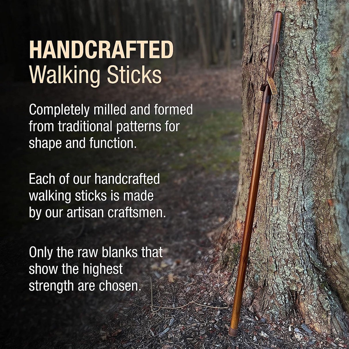 Walking Stick Brazos™ Free Form Wood 48 Inch Height Brown - BeHope