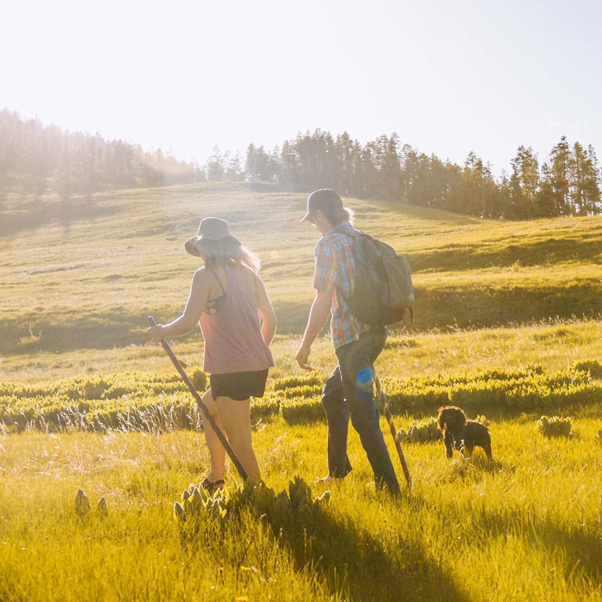 Walking Stick Brazos™ Dual Purpose Staff Wood 55 Inch Height Wood Grain - BeHope
