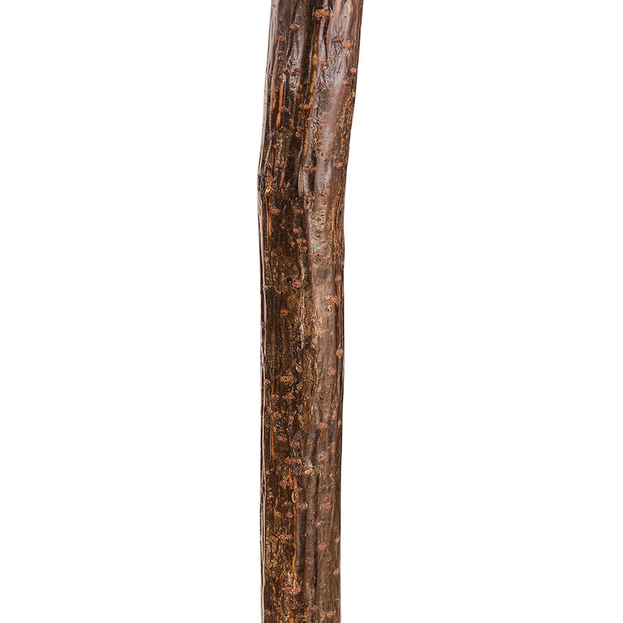 Walking Stick Brazos™ Knob Root Wood 37 Inch Height Natural Hardwood - BeHope