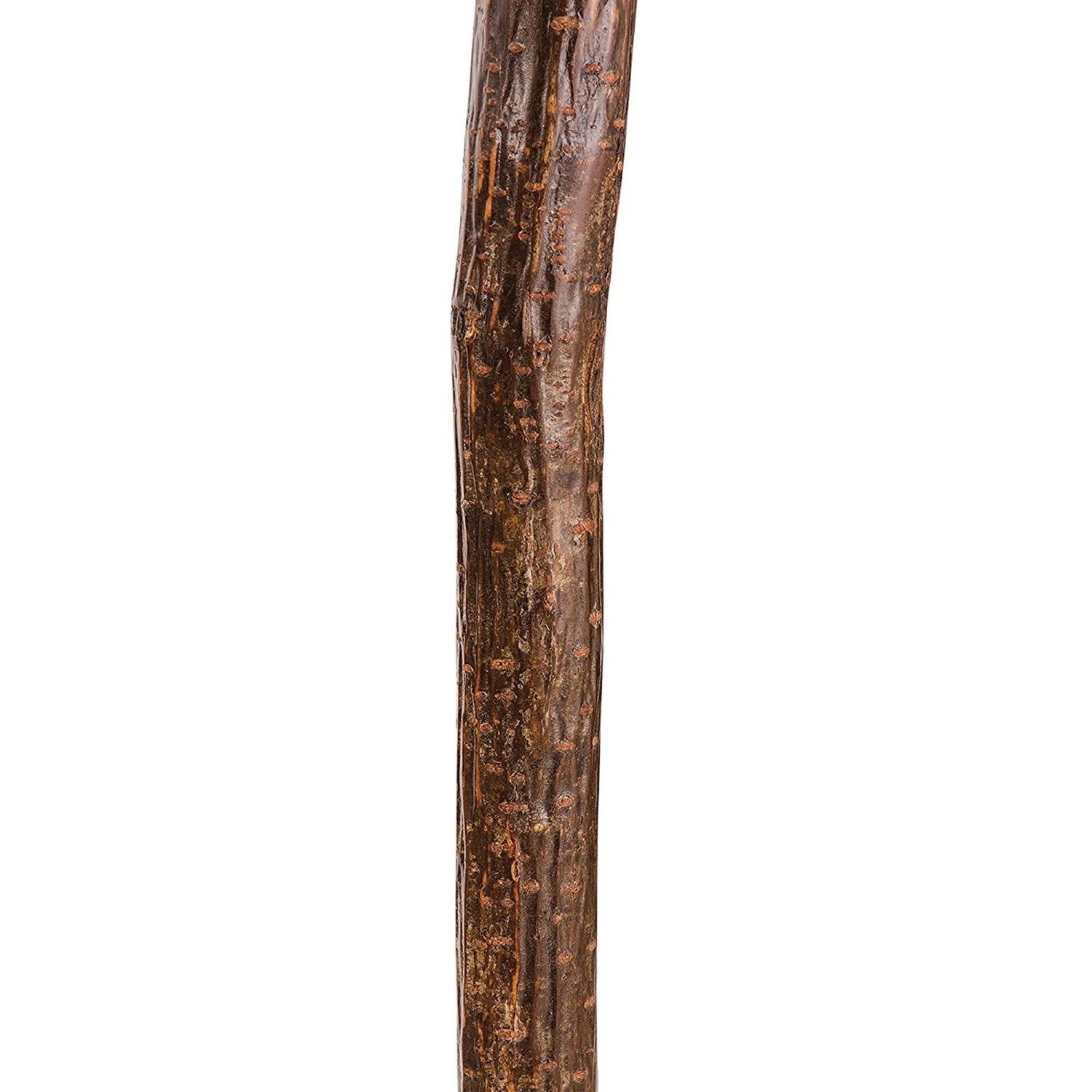 Walking Stick Brazos™ Knob Root Wood 37 Inch Height Natural Hardwood - BeHope